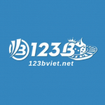 123bvietnet