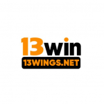 13wingsnet