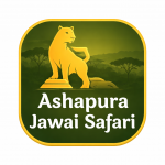 Aashapura Jawai Safari - Jawai Leopard Safari Bandh & Dam Safari