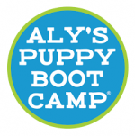 Alyson Puppy Bootcamp