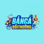 bcdthforum