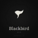 Blackbird SEO