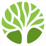 Blackpool Tree Surgeon