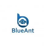 Blue Ant Cleaning Services