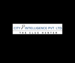 City Intelligence