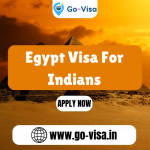 Egypt Visa For Indians Reviews & Ratings | Insights About go-visa.in ...