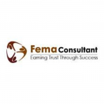 FEMA Consultant