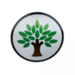 Go Pro Tree Care