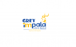 Grey Impala Safaris