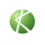 Kaya Tax & Bookkeeping Services, Inc.