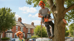 Leicester Tree Services