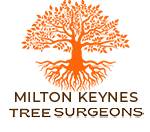 Miton Keynes Tree Surgeon