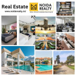 Noida Realty