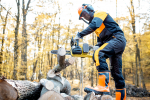 Nottingham Tree Surgeons
