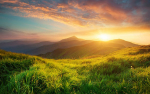 Nurture Environment Wellness
