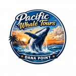 Pacific Whale Tours Dana Point