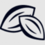 Pecan Solutions
