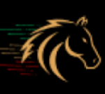 RaceX LLC-FZ    .