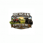 Reagan Cattle Co Inc.