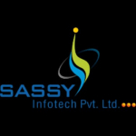 Sassy Infotech Pvt Ltd - Website design & development Company
