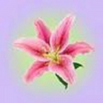 Scentasy