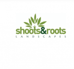Shootsandrootswales