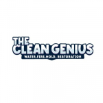 The Clean Genius