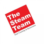The Steam Team