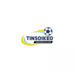 tinsoikeoukcom