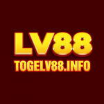 Togelv88 Info