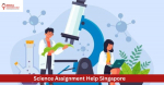 Urgent Science Assignment Help for Singapore Students