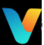 Virtual BDC LLC