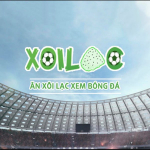 XoilacZ