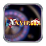 XXVIP CO