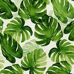 Ju Santos Instagram, monstera deliciosa, familia de arrurruz, planta con flores: Insta Belleza  