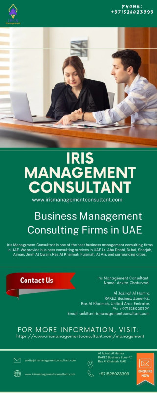 Business Management Consulting Firms in UAE: 