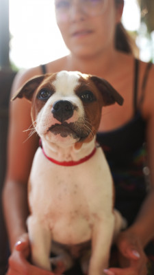 Is he cute?: 