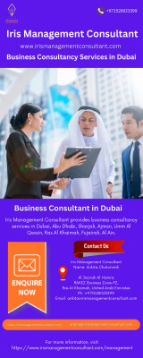 Business Consultancy Services in Dubai: 