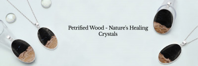 Petrified Wood Meaning, History, Healing Properties, Uses and Cleansing: 