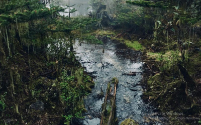 Outdoor Essentials: Must-Have Items for Your Next Adventure: 