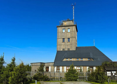 Top 10 Rika Sensors for Accurate Environmental Monitoring: 