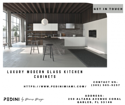 Embrace Elegance with Luxury Modern Glass Kitchen Cabinets in 2024: 
