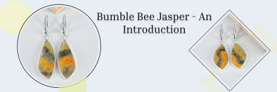 Bumble Bee Jasper: A Stone of Transformation and Strength: 