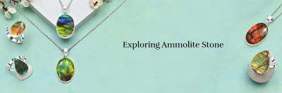 Ammolite Meaning The Rainbow Gem of Growth and Awakening: 