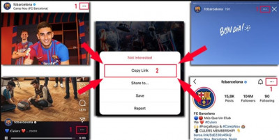 Saveinsta: 
