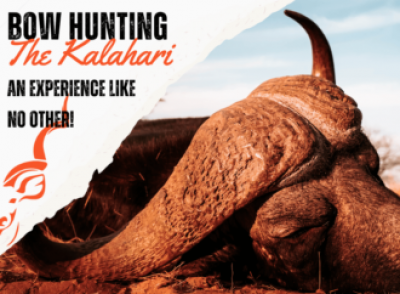 Bowhunting in South Africa: 