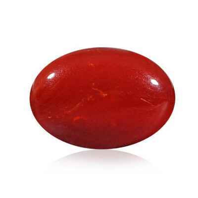 The Deep Red Treasure: All About Red Coral: 