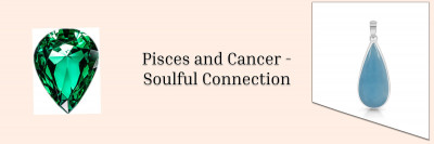 Cancer And Pisces Compatibility – See What Happens When Fishes And Crabs Are Snuggled Together In The Depth of Water: 