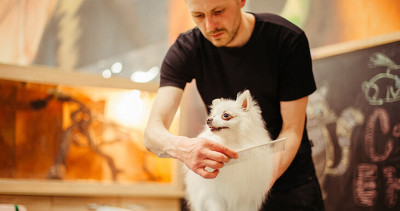 Mobile Dog Grooming at My Home – Book Now: 