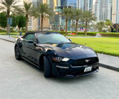 Hire Ford Car Dubai At 22% Off: 
